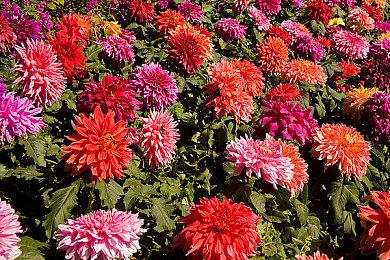 《最后生还者：重制版》与《最后生还者2》全面对比视频